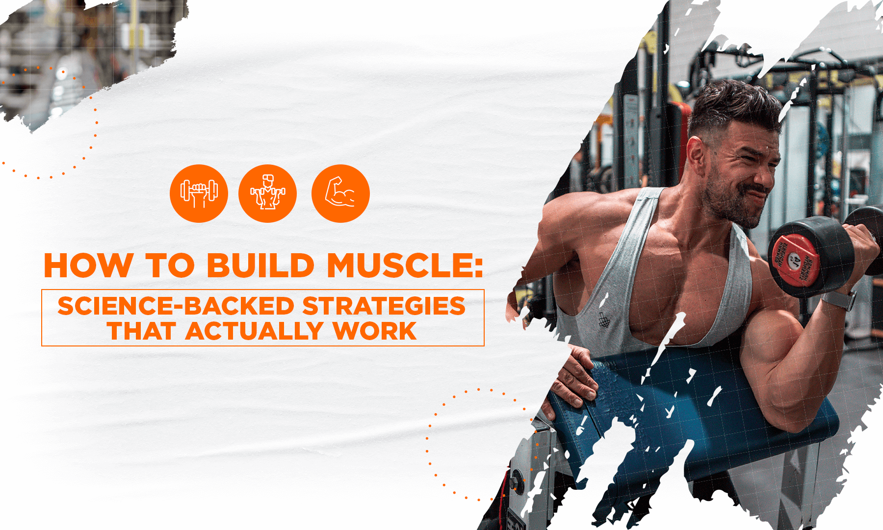 HOW TO BUILD MUSCLE: SCIENCE-BACKED STRATEGIES THAT ACTUALLY WORK ...