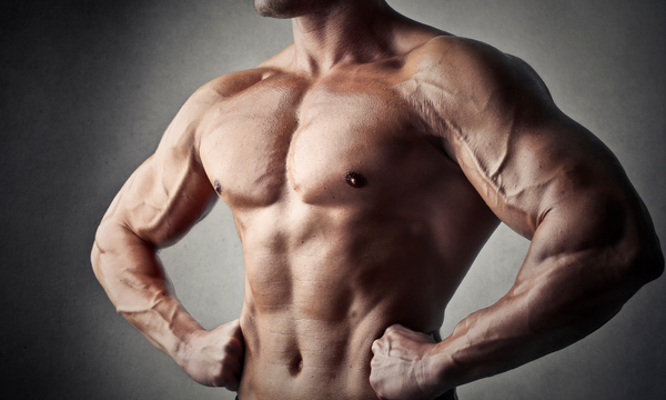 THE ULTIMATE BEGINNER'S GUIDE TO FAST MUSCLE GROWTH