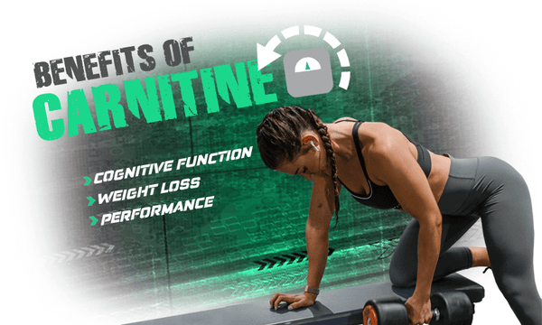 WHAT IS L-CARNITINE?
